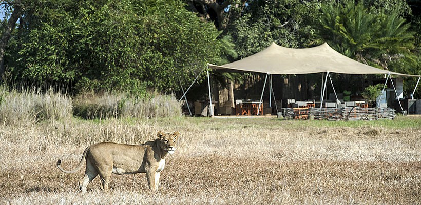 Busanga Camp - Wilderness Safaris - www.safaris101.com
