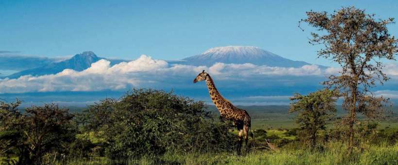 Campi ya Kanzi - www.safaris101.com