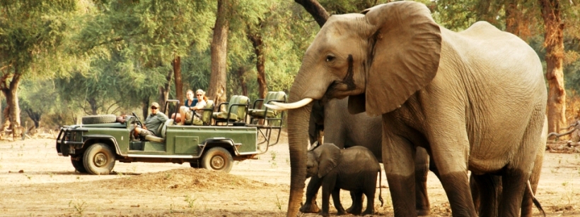 Chikwenya Safari Lodge, Mana Pools - www.photo-safaris.com