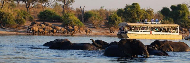 Affordable Botswana Safari (10 Days) - www.safaris101.com