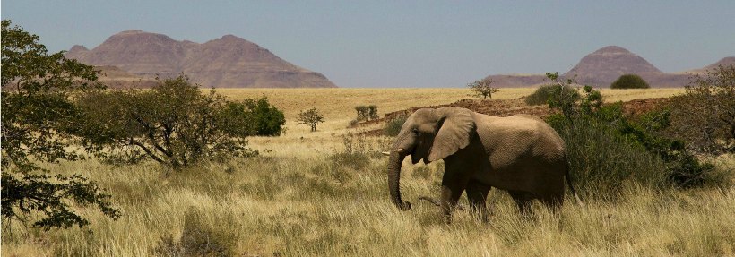 Okahirongo Elephant Lodge, Kaokoland, Namibia - www.photo-safaris.com
