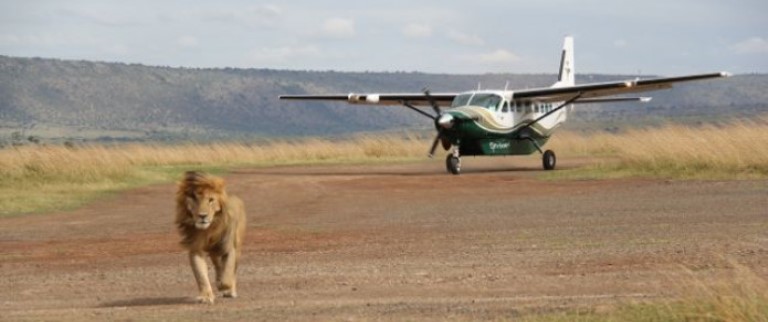 The Best of Kenya Safari (11 Days) - www.safaris101.com