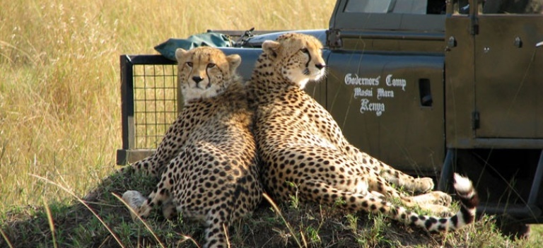 The Best of Kenya Safari (11 Days) - www.safaris101.com