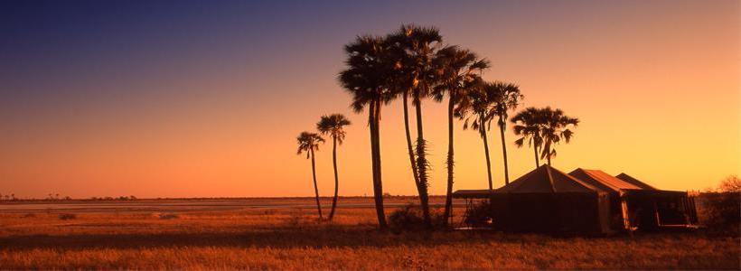 Jacks' Camp (Makgadikgadi Pans) Botswana - www.safaris101.com