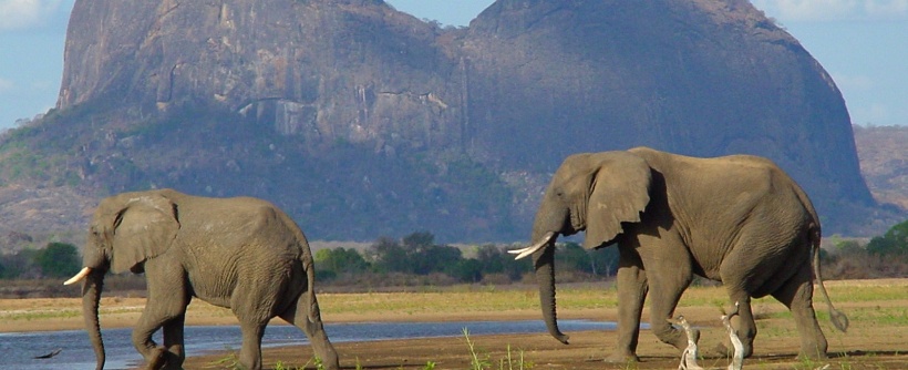Lugenda Wilderness Lodge (Nyassa Wildlife Reserve) Mozambique - www.safaris101.com