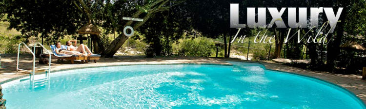 Mara Intrepids Camp (Masai Mara) Kenya - www.photo-safaris.com