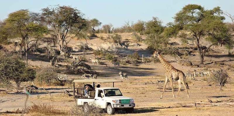 Two Sides of Botswana Safari (7 Days) - www.safaris101.com