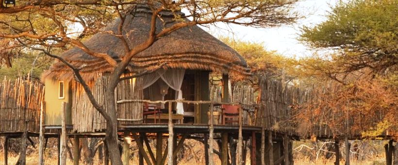Onguma Tree Top Lodge - www.safaris101.com