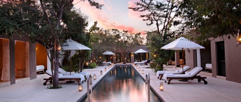 Royal Malewane Lodge (Timbavati Private Game Reserve) South Africa - www.photo-safaris.com