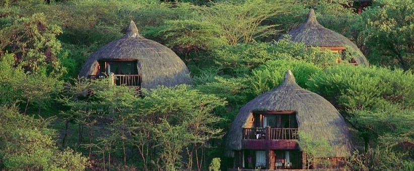 The Dik Dik Safari in Tanzania (9 Days) - www.safaris101.com