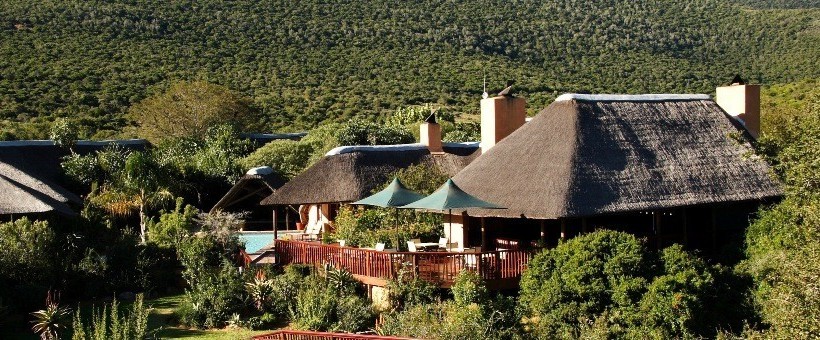 Shamwari Game Reserve (Eastern Cape) South Africa -  www.photo-safaris.com