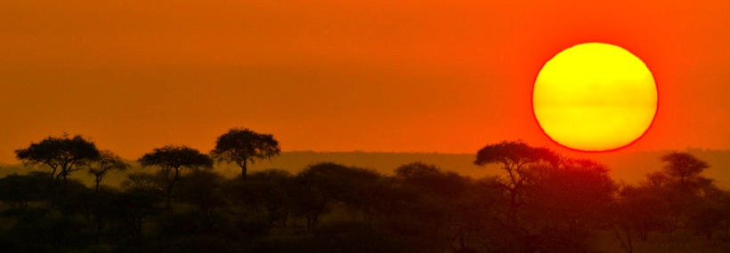 The Kiboko Safari (6 Days) -   www.safaris101.com