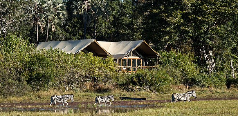 Tubu Tree Camp (Okavango Delta) Botswana with Wilderness Safaris - www.safaris101.comwith Wilderness Safaris - www.safaris101.com