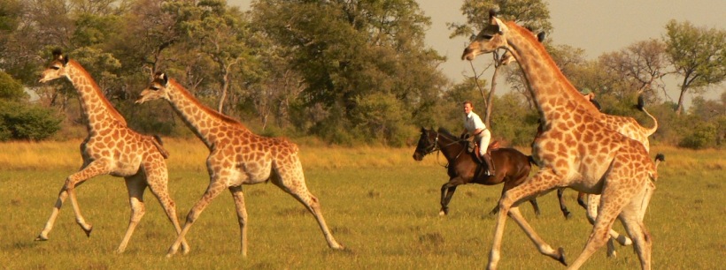 African Horseback Safaris - www.safaris101.com