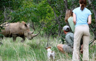 Ants Hill - www.safaris101.com