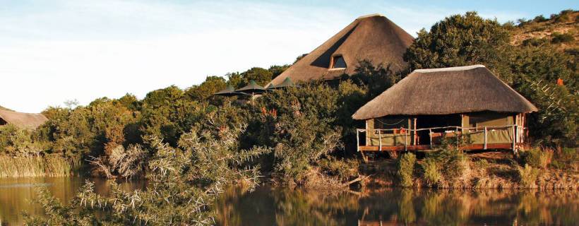 Shamwari Game Reserve (Eastern Cape) South Africa -  www.photo-safaris.com
