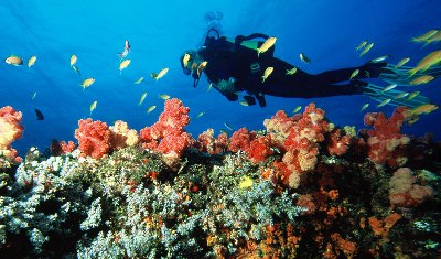 Benguerra Island Lodge - www.safaris101.com