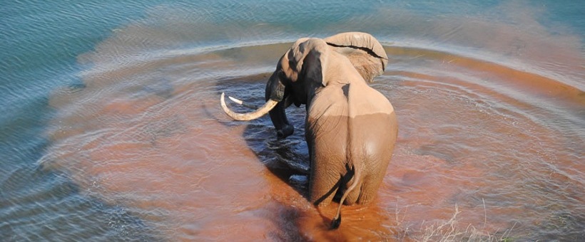Changa Safari Camp, Lake Kariba - www.safaris101.com