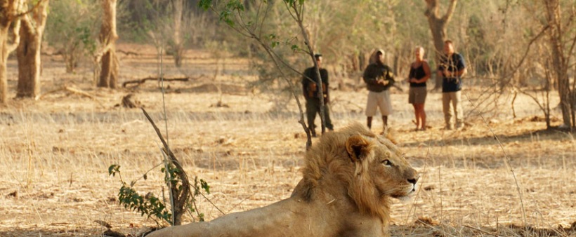 Chiawa Camp - www.safaris101.com