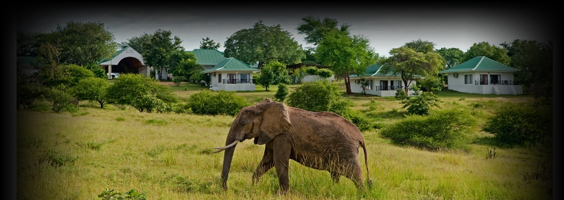 Chichele Presidential Lodge, Zambia - www.safaris101.com