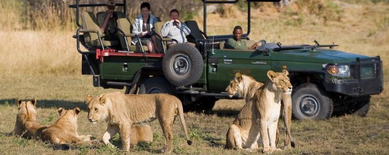 Affordable Botswana Safari (10 Days) - www.safaris101.com
