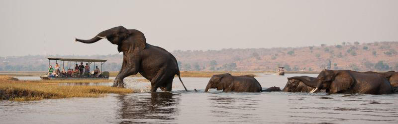 Affordable Botswana Safari (10 Days) - www.safaris101.com