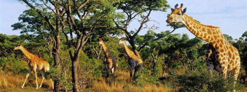 Clifftop Lodge, Welgevonden - www.photo-safaris.com