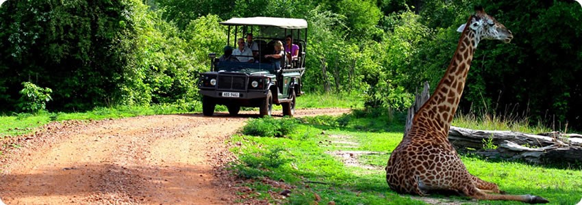 Croc Valley Camp (South Luangwa National Park) Zambia  - www.safaris101.com