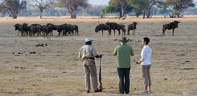 Davisons Camp - Picture by Wilderness Safaris - www.safaris101.com