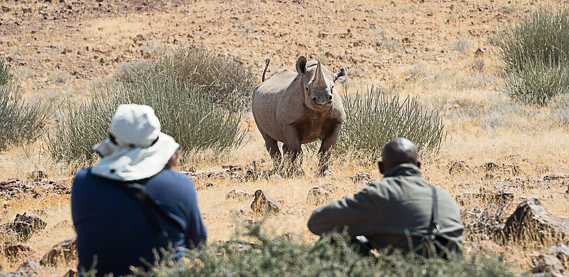 Desert Rhino Camp with Wilderness Safaris - www.safaris101.com