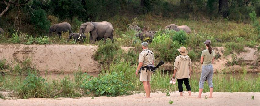 Dulini River Lodge Walk - www.safaris101.com