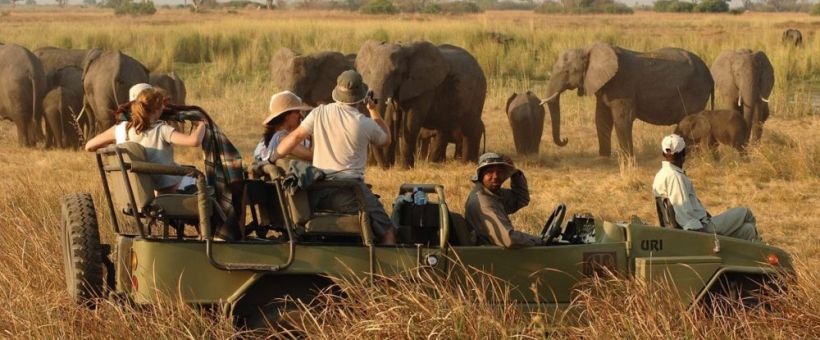 Elephant Valley Lodge, Chobe - www.safaris101.com