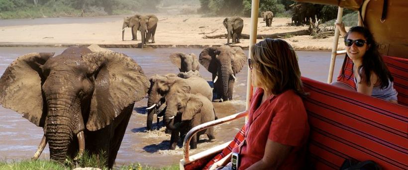 Elephant Watch Camp (Samburu / Shaba Game Reserve) Kenya - www.safaris101.com