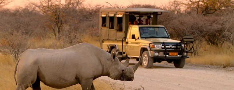 Epacha Game Lodge and Spa (Etosha Region) Namibia - www.photo-safaris.com