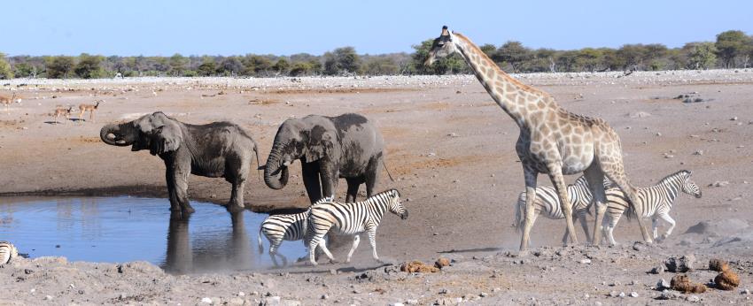 The Fort at Fishers Pan, Etosha, Namibia - www.safaris101.com