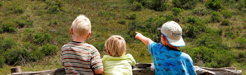 Jock Safari Lodge (Northern Kruger National Park, Limpopo Province) South Africa - www.photo-safaris.com