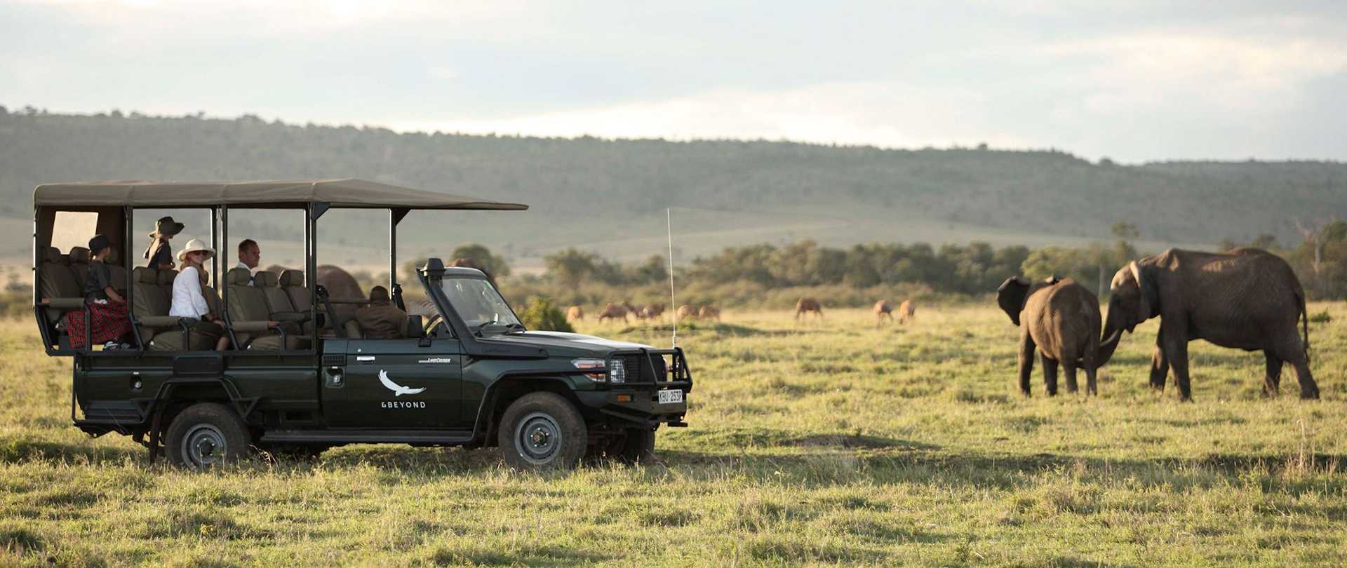 Kichwa Tembo (Kenya) - www.safaris101.com