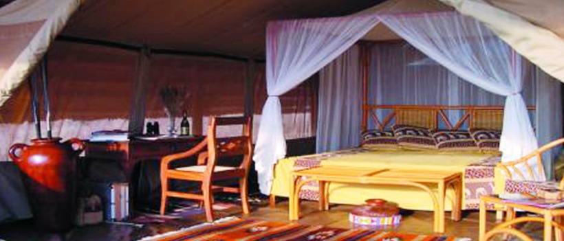 The Dik Dik Safari in Tanzania (9 Days) - www.safaris101.com