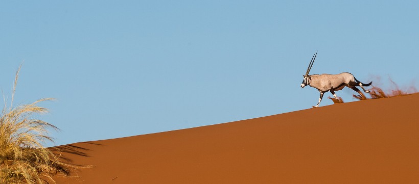 Kulala Desert Lodge (Namib Naukluft Park) Namibia with Wilderness Safaris - www.safaris101.com