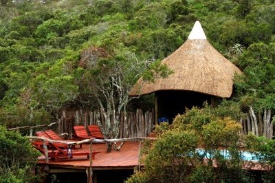 Lalibela Game Reserve (Eastern Cape) South Africa - www.safaris101.com