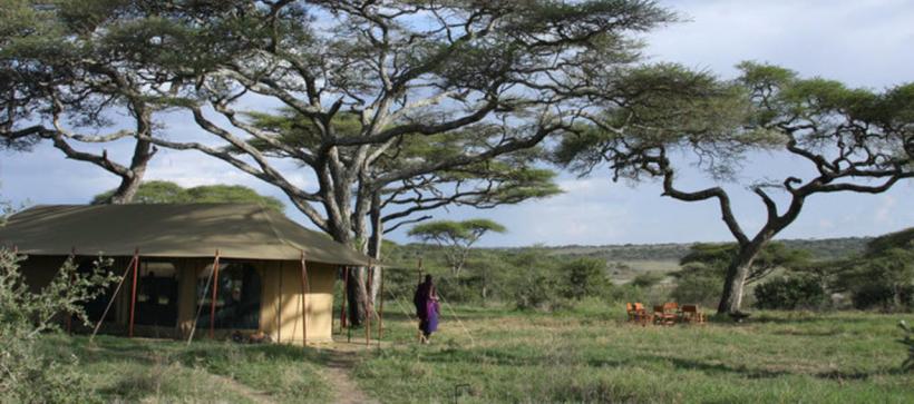 Lemala Ndutu Camp (Serengeti National Park) Tanzania -  www.safaris101.com