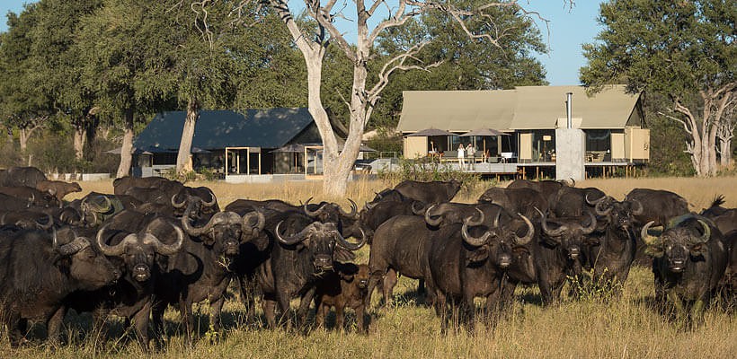 Linkwasha Camp (Hwange Game Reserve) Zimbabwe - www.photo-safaris.com