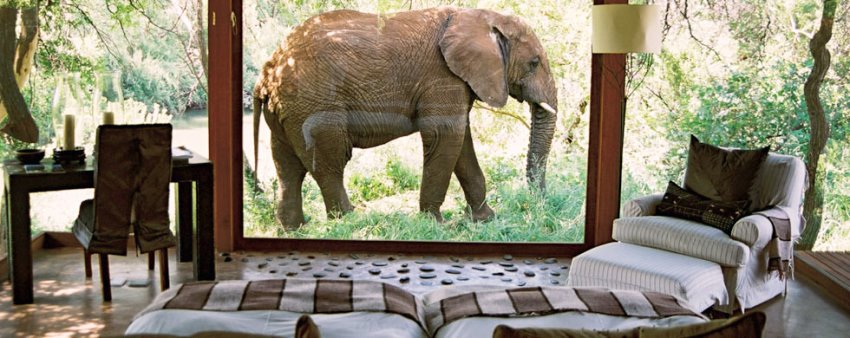 Makanyane Safari Lodge (Madikwe Game Reserve) South Africa - www.safaris101.com