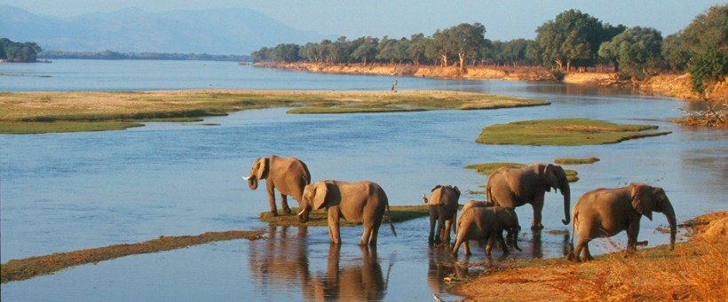 Chikwenya Safari Lodge, Mana Pools - www.photo-safaris.com