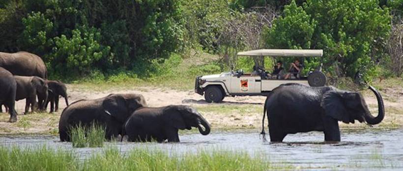 Muchenje Safari Lodge (Chobe National Park) Botswana - www.safaris101.com