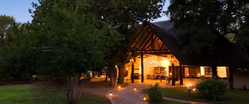 Ngala Safari Lodge - www.photo-safaris.com