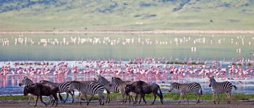 The Simba Safari  - Tanzania (7 Days) -  www.photo-safaris.com