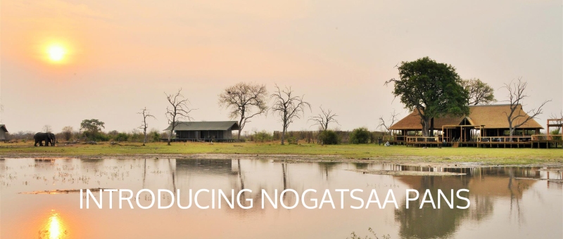 Nogatsaa Pans Lodge Lodge (Chobe National Park) Botswana - www.photo-safaris.com