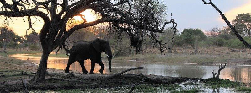 Affordable Botswana Safari (10 Days) - www.safaris101.com