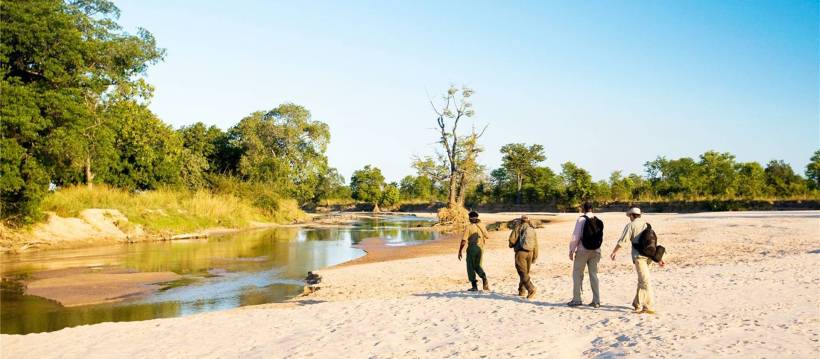 Nsolo Bush Camp (South Luangwa National Park) Zambia - www.safaris101.com